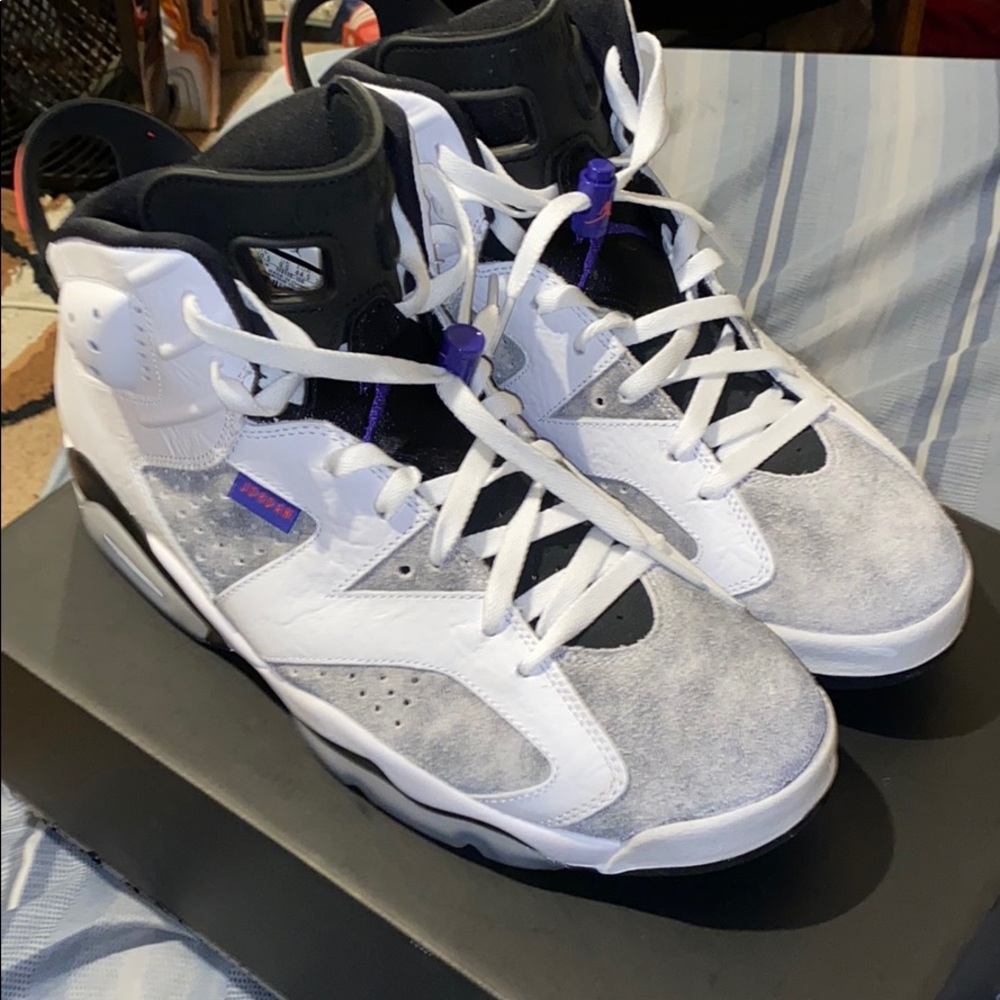 Air Jordan retro 6 (flint)